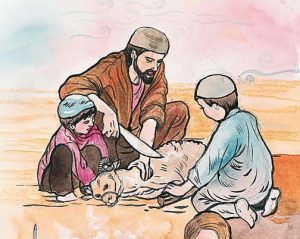 Qurban: Jejak Ketulusan Ibrahim dan Panduan Syariat bagi Umat